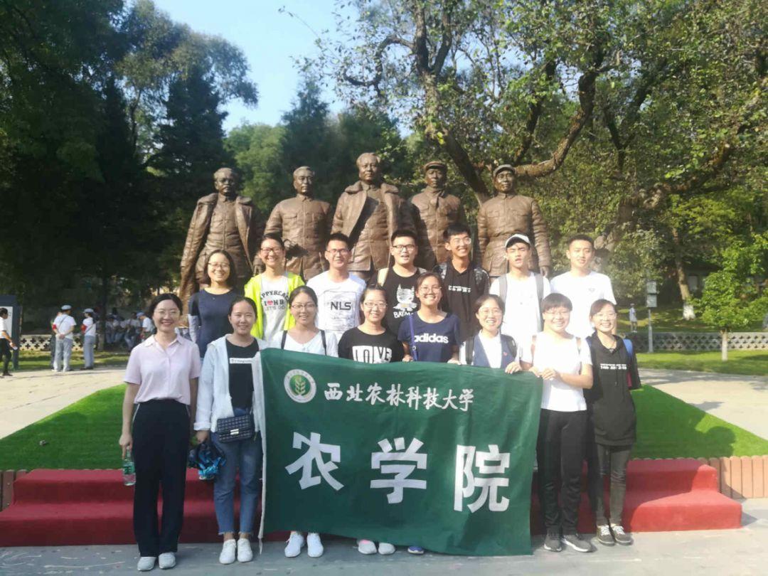 为什么俩口子之间没话说，该怎么办？游戏画面
